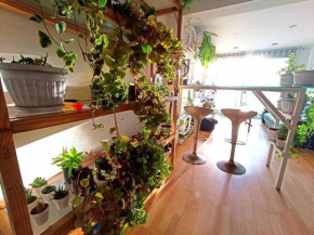 Cosy and full of plants apartment